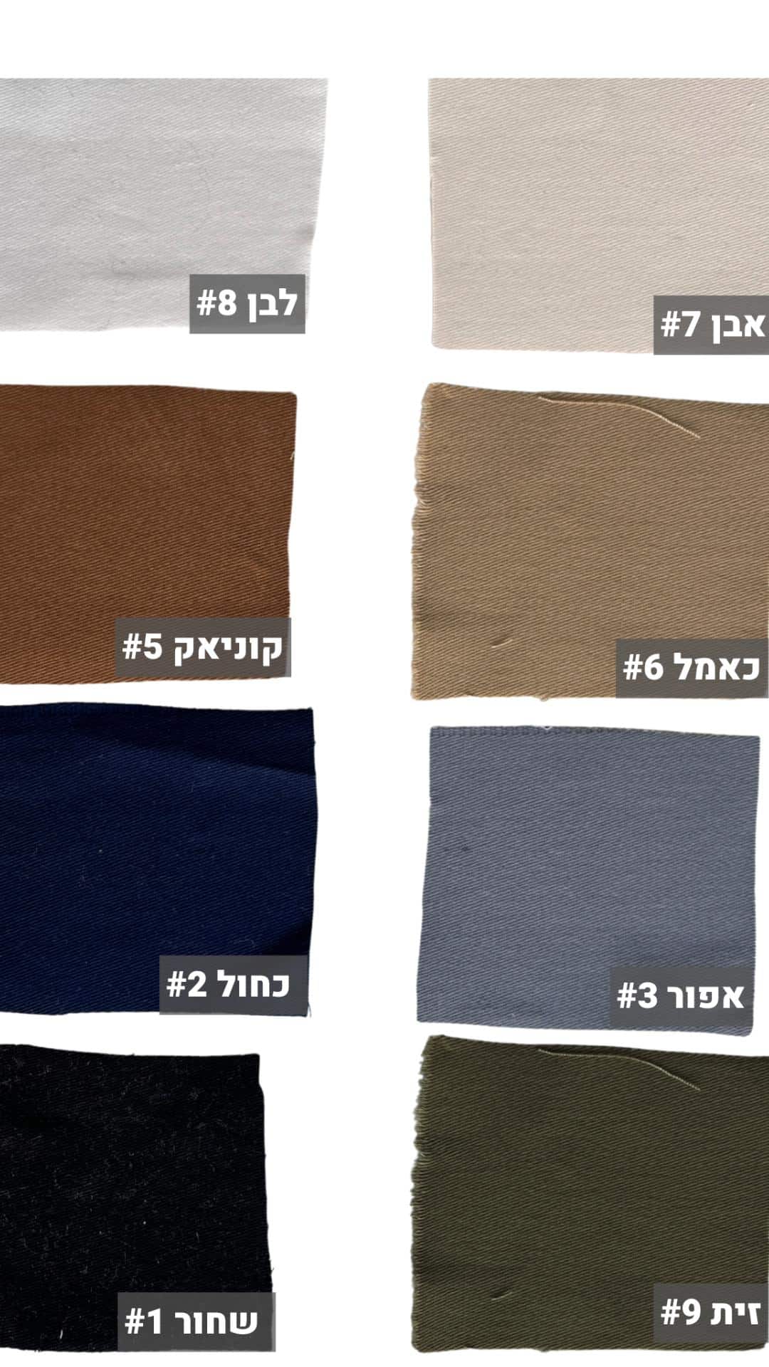 דריל רגולר