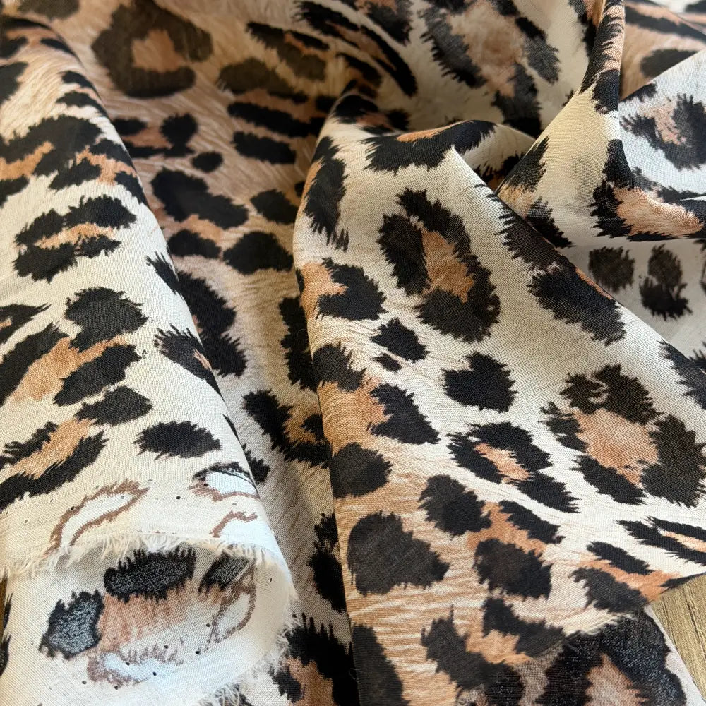 ווהל כותנה מנומר גדול ונוכח