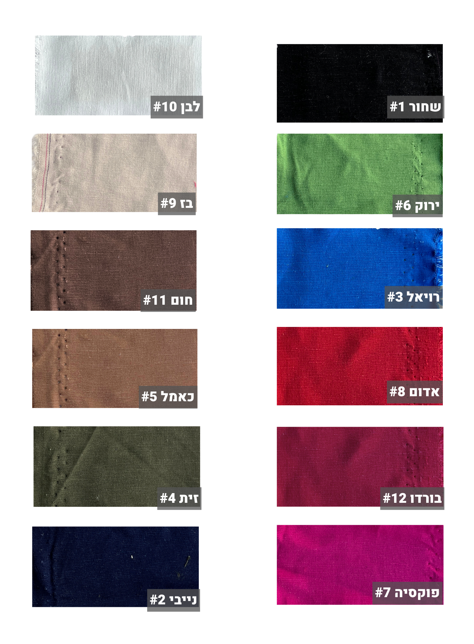 פשתן ויסקוזה - ביבלוס